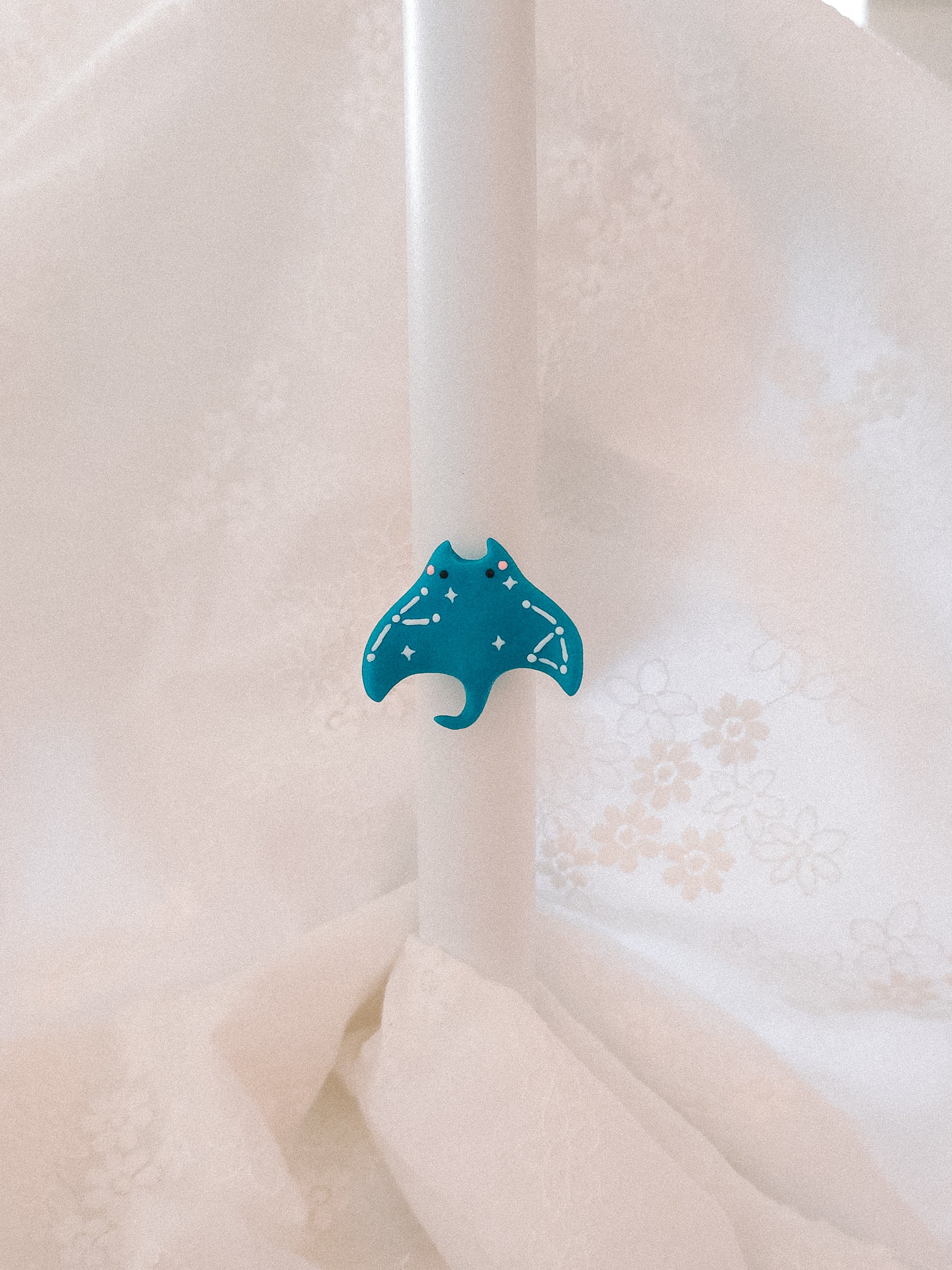 Cosmic Manta Ray Magnet